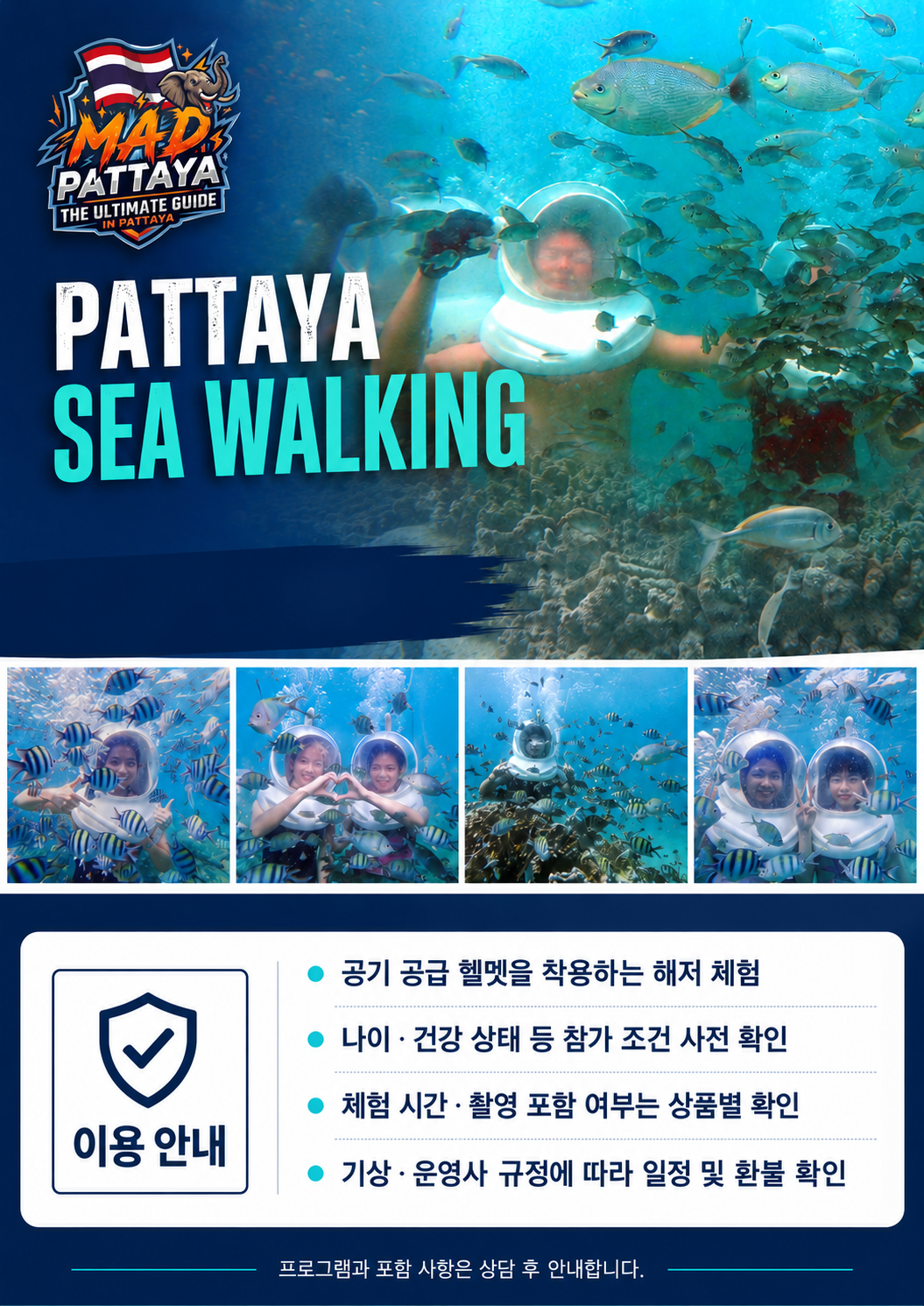 씨워킹 MAD 소개 브로셔